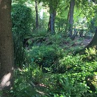IMG_1270